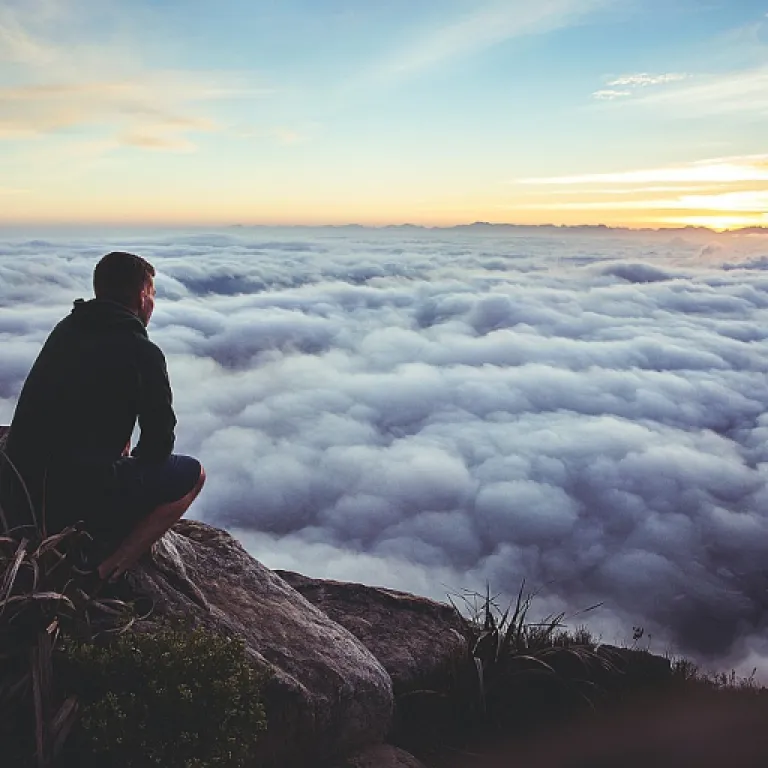 Understanding the Role of a Job Applicant